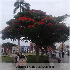 380897c03d176722b3184f8026ce6396o.jpg
