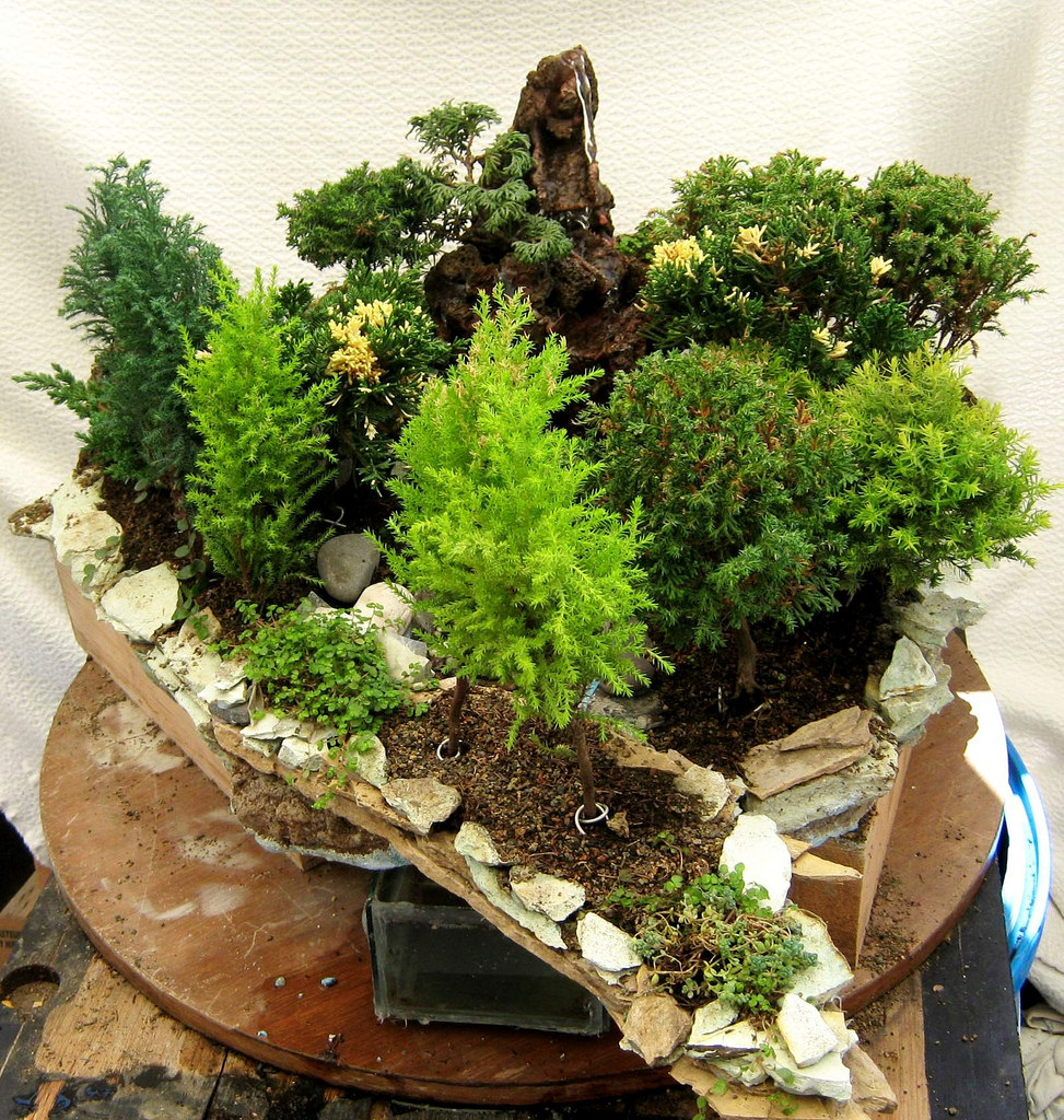 3819818674_c70e02d691_b.jpg