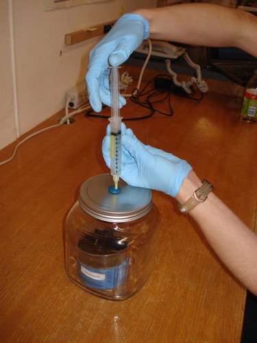38267_med.jpg