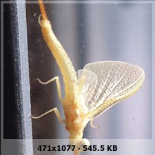 389d788c27fdb1d9408ac73efd63e1d7o.jpg