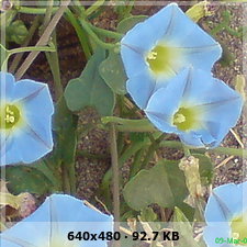 38c5bf1f2abedaed8c09cc173bc12c9co.jpg