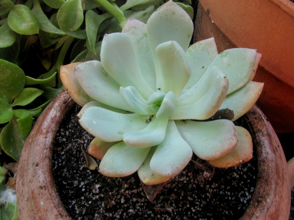 3905032896_d826726335_o.jpg