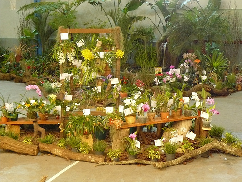 3917483075_067e674658.jpg