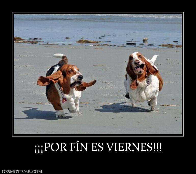 39536_por_fin_es_viernes.jpg
