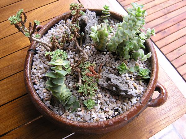 3959d1269550325t-reutilizacion-de-cosas-encontradas-en-la-jardineria-olla4.jpg