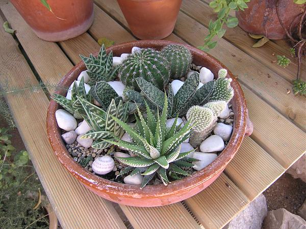3960d1269550325t-reutilizacion-de-cosas-encontradas-en-la-jardineria-olla2.jpg