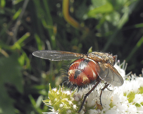 3987725939_78d9027498.jpg