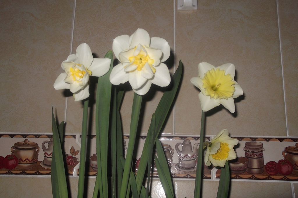 3_zps02760702.jpg