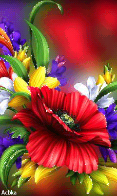 3b995423b014348d8af22a3f6679116c.gif
