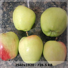 3c06b749a38385332e1eae68469a88c8o.jpg