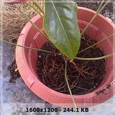 3cd5d14a50d41ecfa9c5659b0a98f8d4o.jpg
