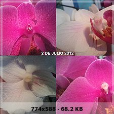 3d3970ce18c85becb325d51590571e22o.jpg