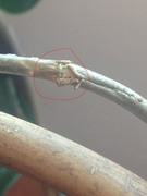 3f7578993262954.jpg