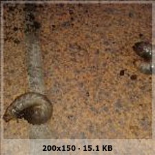 3fbda93151e04487de6ca636b04c3d6fo.jpg