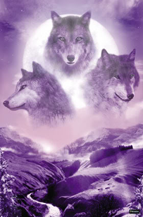3wolf-1.jpg