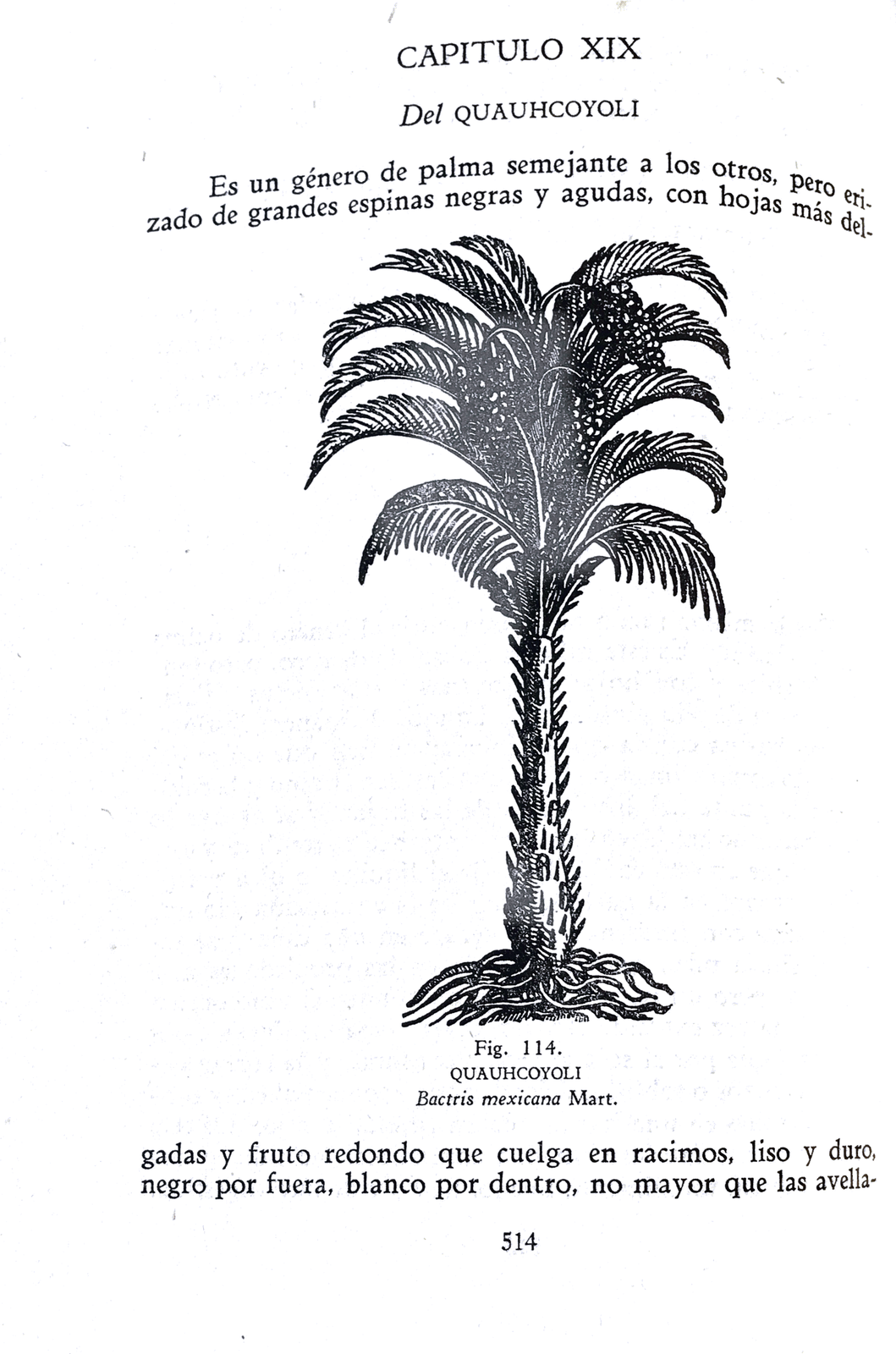 40269071233_f701c03ac1_o.png