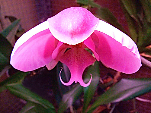 407958398_07359e5cd8.jpg