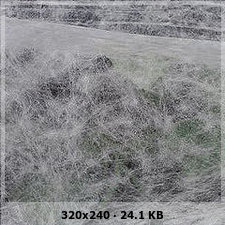 4109b228cd9f88c0ba629beb8d6459a3o.jpg