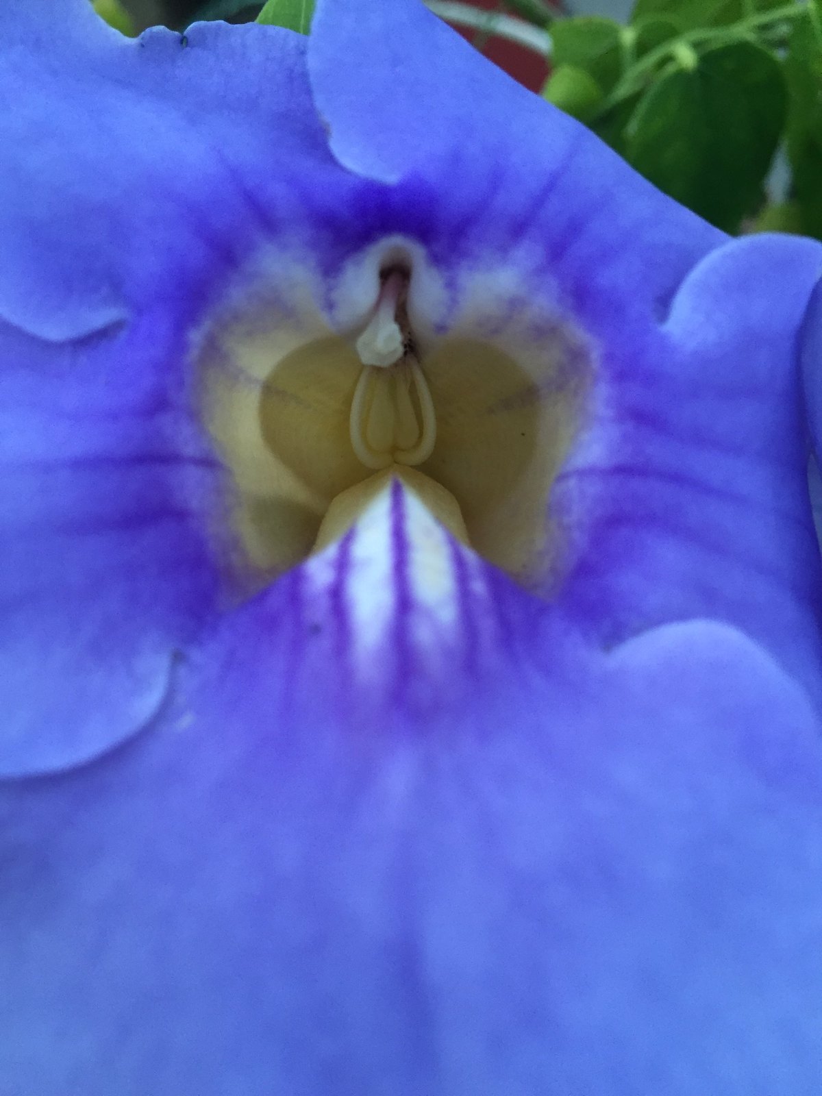 41150206930_861aa3303d_k.jpg
