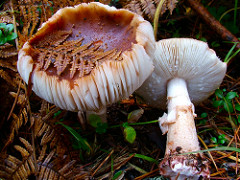 414034068_7398eecc68_m.jpg