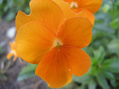 415662523_dae3f84a72_m.jpg