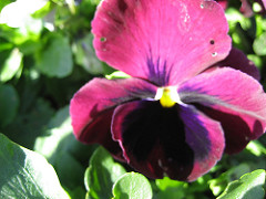 415681674_efd35c71cf_m.jpg