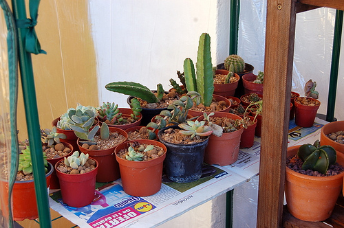 4160019954_c34c26234a.jpg
