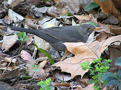 416711833_4afb201cde_m.jpg