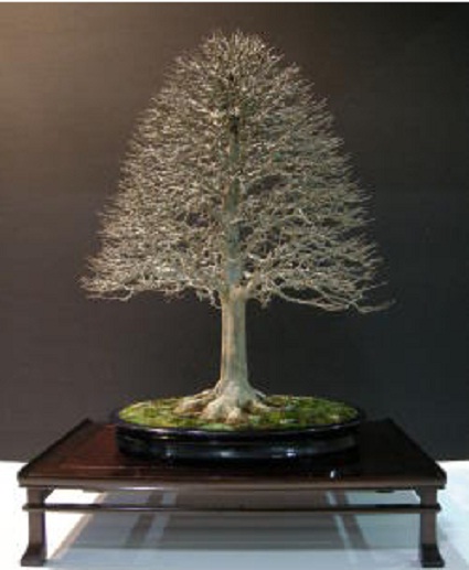 4183938_1.jpg