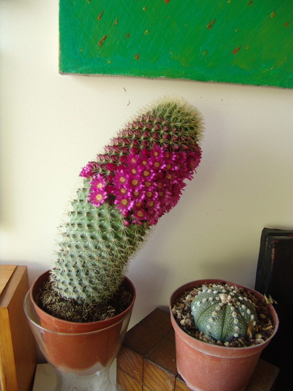 420122166_b587f15e88_o.jpg
