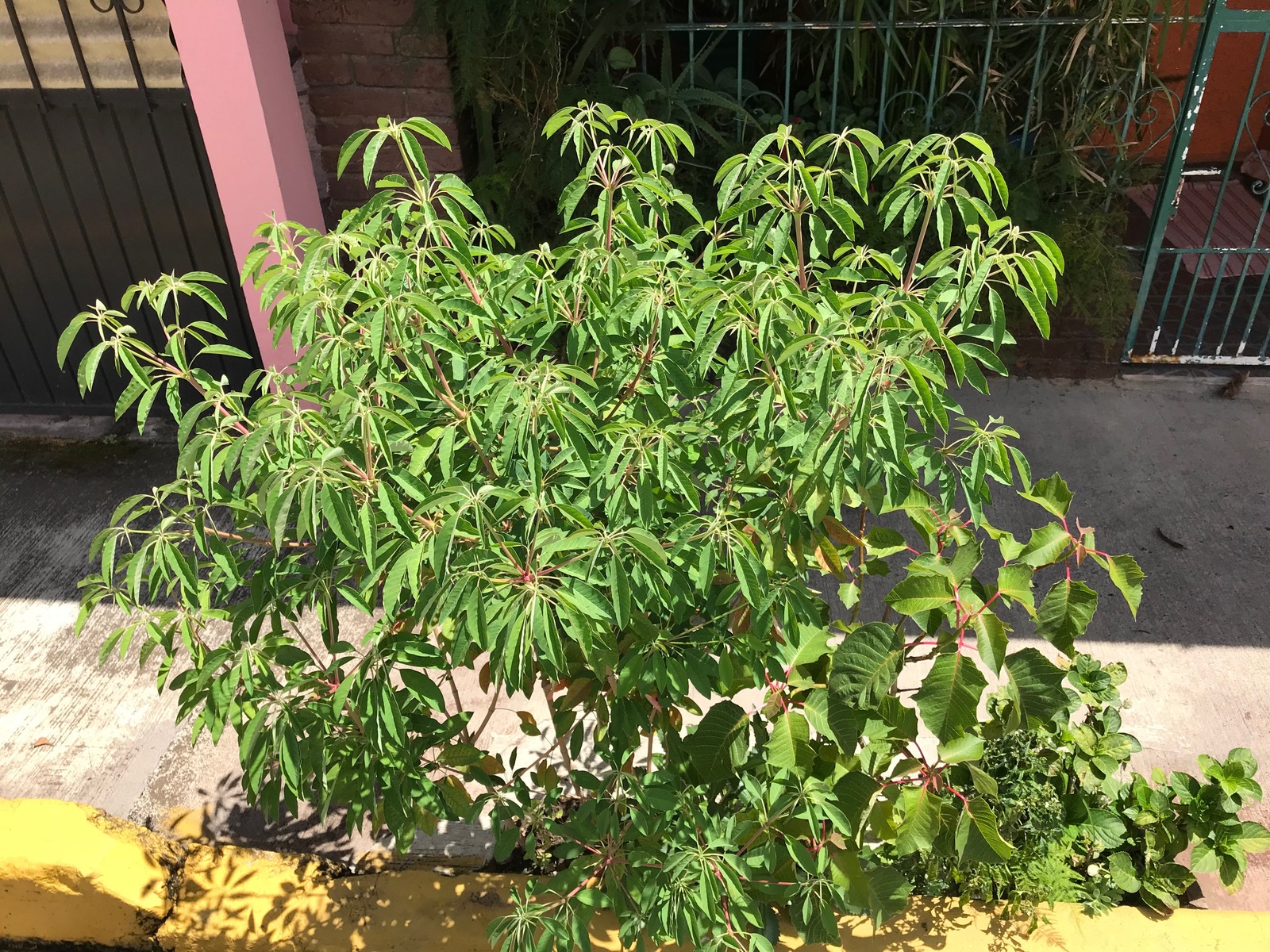 42039860860_1f9b5485b5_o.jpg