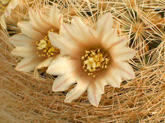 421172951_873e808c91_m.jpg