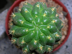 429387037_523765d9fa_m.jpg