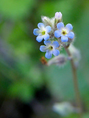 429460769_d780511368_m.jpg
