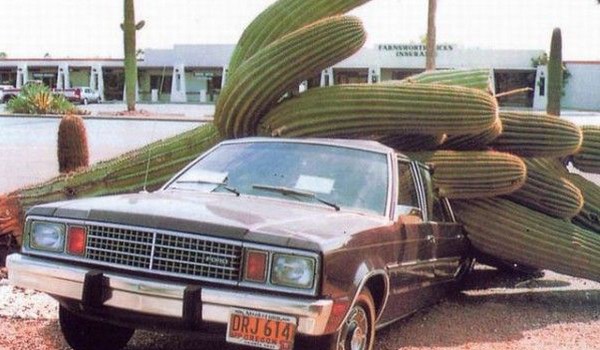429_accidente-blooper-17.jpg