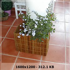 4314c0f3563f00858ba4e92e74d187d1o.jpg
