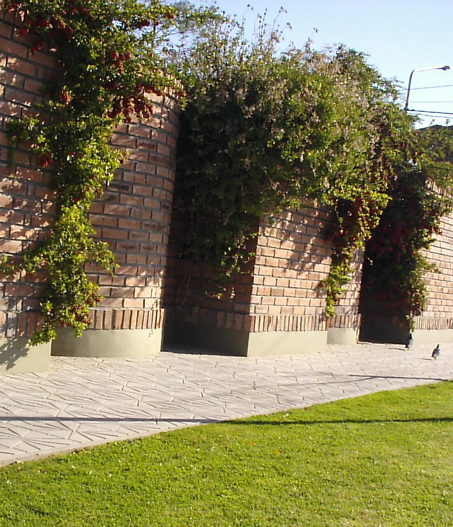 436.JPG
