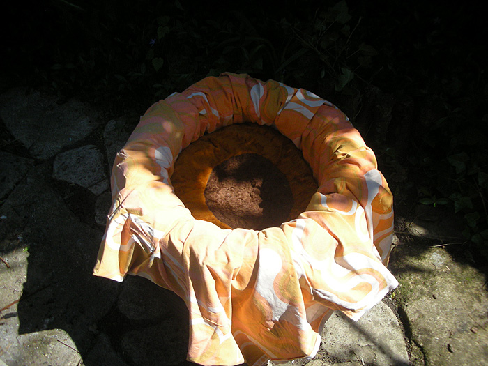 43708678_13.jpg