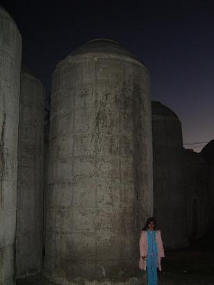 4405_5988_agro6.JPG