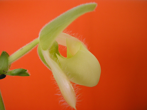 440745049_bb615d42e0.jpg