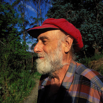 440px-Hundertwasser_nz_1998_hg.jpg