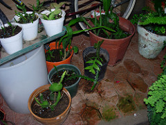 441348309_5a1597ea8c_m.jpg