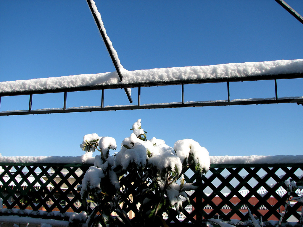 4419626778_fded6a0534_b.jpg