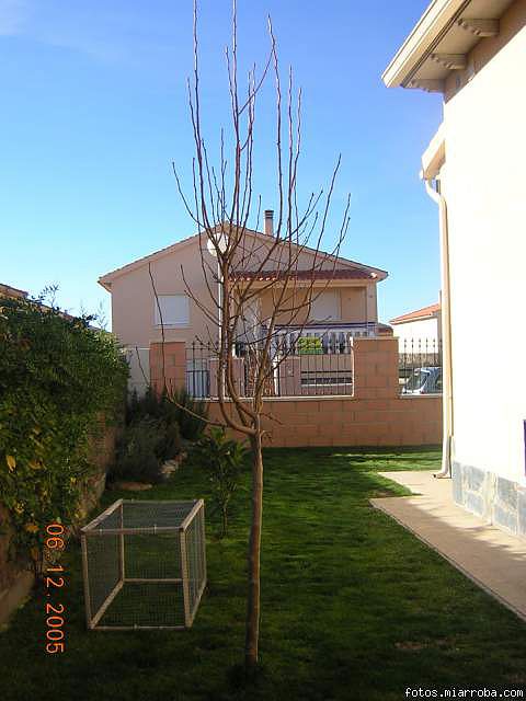 442f64c4.jpg