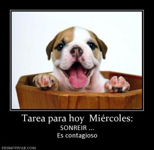 44416_s_tarea_para_hoy__miercoles.jpg