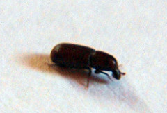 4493316285_2811e113ac_m.jpg