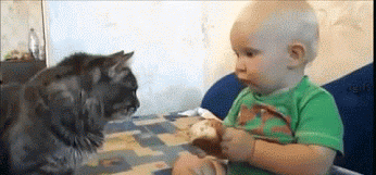 45.gif