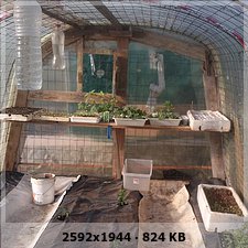 4508a3953bb1a9501524b22bf77071c0o.jpg