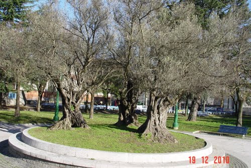 45257855.jpg