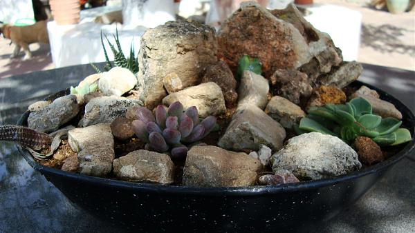 4527d1270450845t-reutilizacion-de-cosas-encontradas-en-la-jardineria-dsc01659.jpg